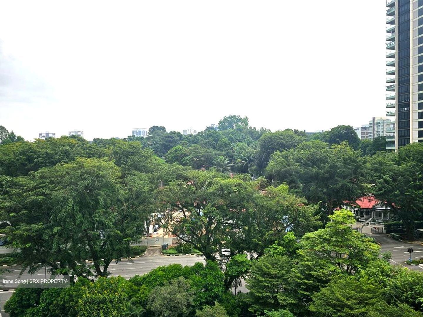 The Scotts Tower (D9), Condominium #509993681